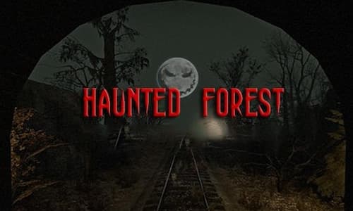 Haunted Forest